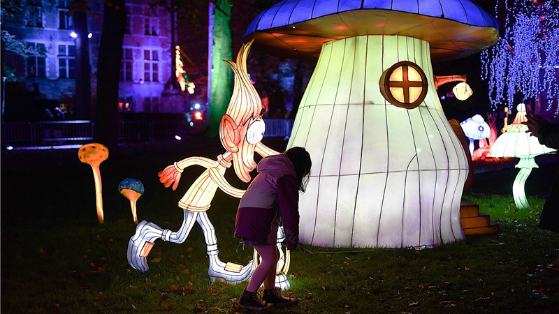 Christmas Lantern Festival (6)