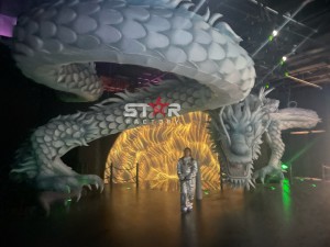 https://www.starslantern.com/chinese-festival-lantern-show-silk-lantern-flying-dragon-lantern-for-theme-park-product/